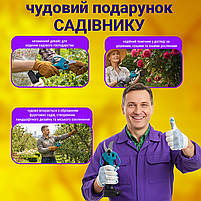 Акумуляторний секатор NTJ-2000 для обрізки дерев та винограду (електросекатор), фото 7