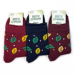 Шкарпетки жіночі, повна махра, зимові "November" 23-25р. (12 пар!) Варос, фото 3