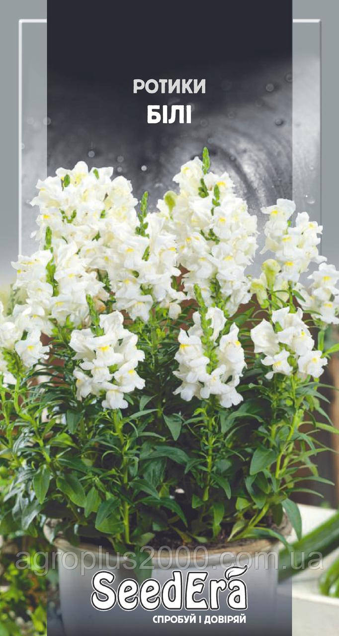 Насіння Ротики Садові Білі 0,2 грама SeedEra