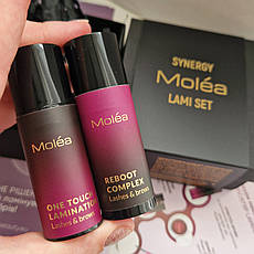 Набір для ламінування вій та брів MONOSTEP MOLÉA SYNERGY LAMI SET