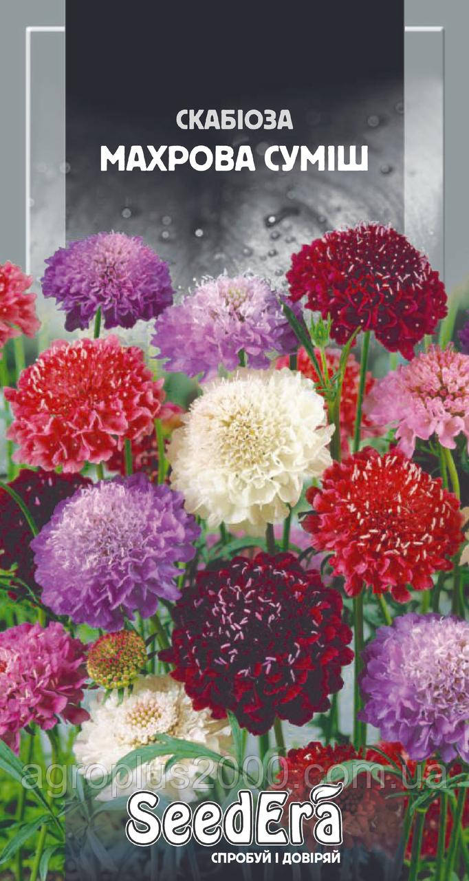 Семена  Скабіоза Махрова Суміш  0,1  грама SeedEra