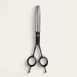 Професійні перукарські філірувальні ножиці для стрижки волосся PROLINE SA-640 6,0", фото 3