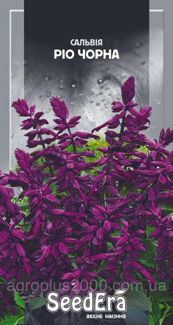 Насіння Сальвія блискуча Ріо Чорна 0,2 грамма SeedEra
