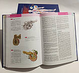 Сапін Атлас нормальної анатомії людини Сапин Атлас нормальной анатомии человека учебник по анатомии человека, фото 10