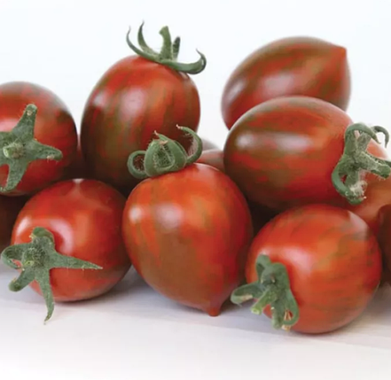 Насіння томату КС 277 F1 Kitano Seeds 100, фото 1