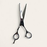Професійні перукарські ножиці для стрижки волосся PROLINE D8-6,0M, фото 2