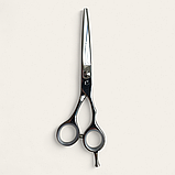 Професійні перукарські ножиці для стрижки волосся PROLINE D8-6,0M, фото 3