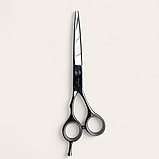 Професійні перукарські ножиці для стрижки волосся PROLINE D8-6,0M, фото 4