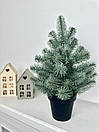 Ялинка лита Premium у горщику 50 см блакитна, фото 2
