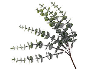 Гілка евкаліпта декоративна 25см BonaDi 839-599