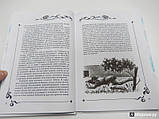 Мої посмертні пригоди. Юлія Вознесенська (ориг.), фото 2
