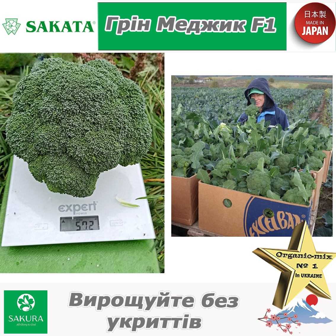Броколі Грін Меджик F1 / Green Magic F1, 1000 насінин, ТМ  Sakata (Японія), фото 1