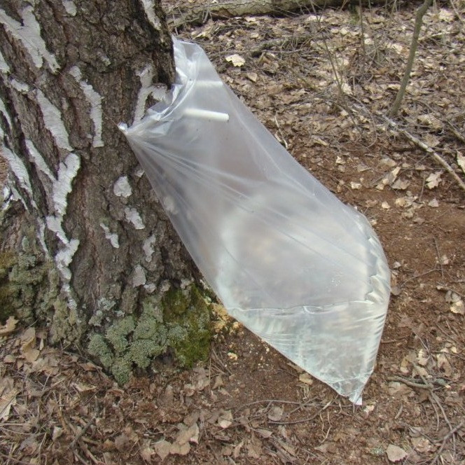 Мішок поліетиленовий для березового соку 65х120см 90 мк