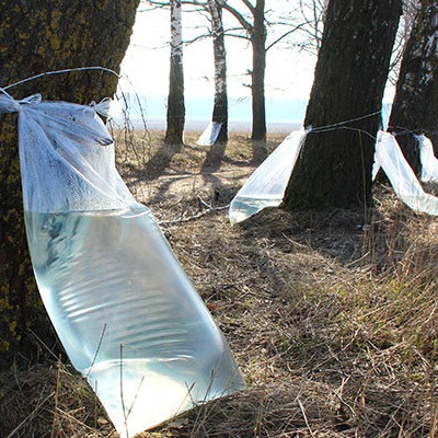 Мішок для березового соку, 40 мкм, 50х100 см