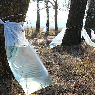 Мішок для березового соку, 40 мкм, 50х100 см, фото 1