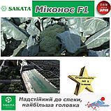 Броколі жаростійка Миконос F1, ТМ Sakata (Японія), 1000 насінин, фото 4