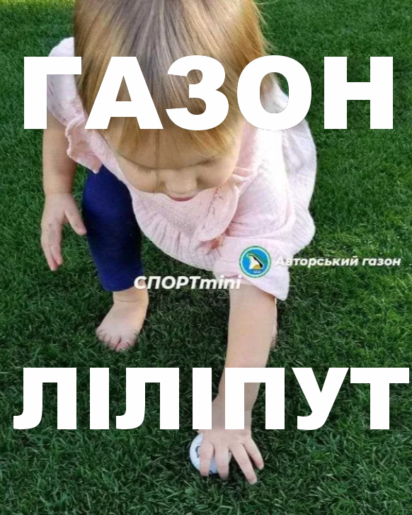 Газонні низькорослі трави для ландшафтного дизайну і озеленення 1кг і оптом гарантія!, фото 1