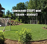 Газонні низькорослі трави для ландшафтного дизайну і озеленення 1кг і оптом гарантія!, фото 10