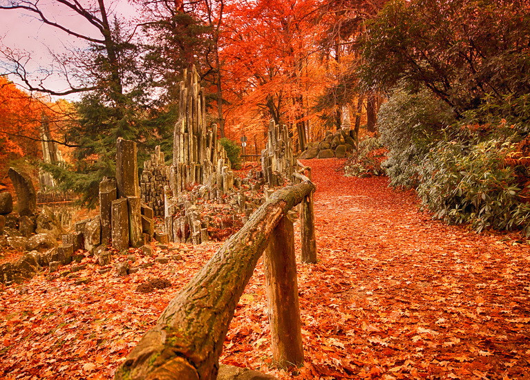 Фото листівка "Мелодія опалого листя", фото 1