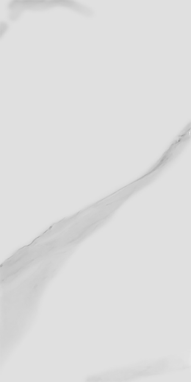 Плитка облицювальна Атем Сalacatta GR 250*600