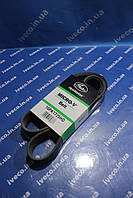 Ремінь генератора Iveco Stralis Cursor F2BE 500328020 10PK1725HD