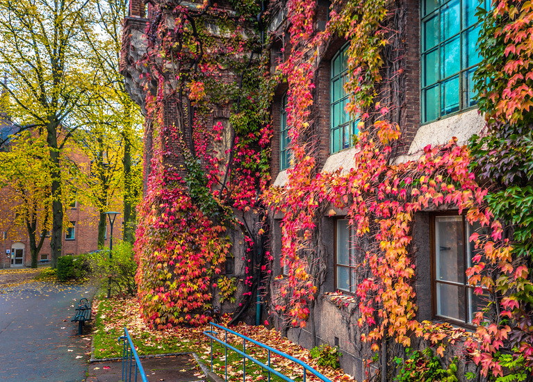 Фото листівка "Обійми осені", фото 1