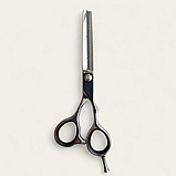 Професійні перукарські філірувальні ножиці для стрижки волосся PROLINE STU11RT 6,0", фото 3
