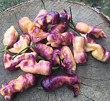 Насіння гострого перцю "Reaper Purple Peach" (15 насінин)
