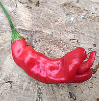 Насіння гострого перцю "Sugar Rush Red" (15 насінин)