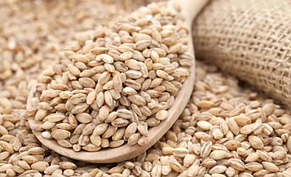 Крупа перлова органічна 800 г TM Ahimsa, фото 2