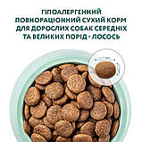 Optimeal сухий корм гіпоалергенний для дорослих собак середніх та великих порід з лососем 12кг, фото 4