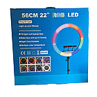 Кільцева LED лампа 56см RGB для селфі та стримінгу з регульованою яскравістю та тримачами для телефону, фото 6