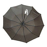 Парасолька жіноча напівавтомат Bellissimo M531 на 10 карбонових спиць Коричнева з бежевою облямівкою смужкою, фото 3