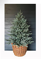 Корзинка для ялинки у горщику D-60см