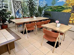 Квадратний стіл "Серія 1" з натурального дерева та металу
Прямокутний стіл для кафе "Серія 5" з натурального дерева Ясен від виробника
Новий мякий стілець "Джим" з натурального дерева