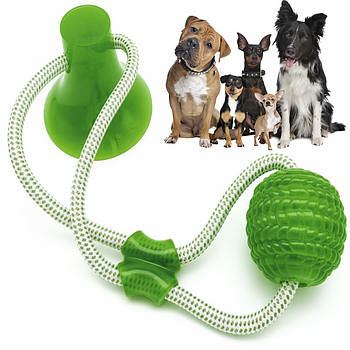 Іграшка для собак м'яч на мотузці з присоск EL-1126, Зелена / Багатофункціональна іграшка для вихованців