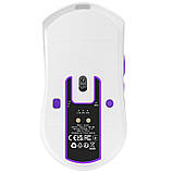 Proove Gaming Jester 8K Бездротова ігрова миша (White), фото 6