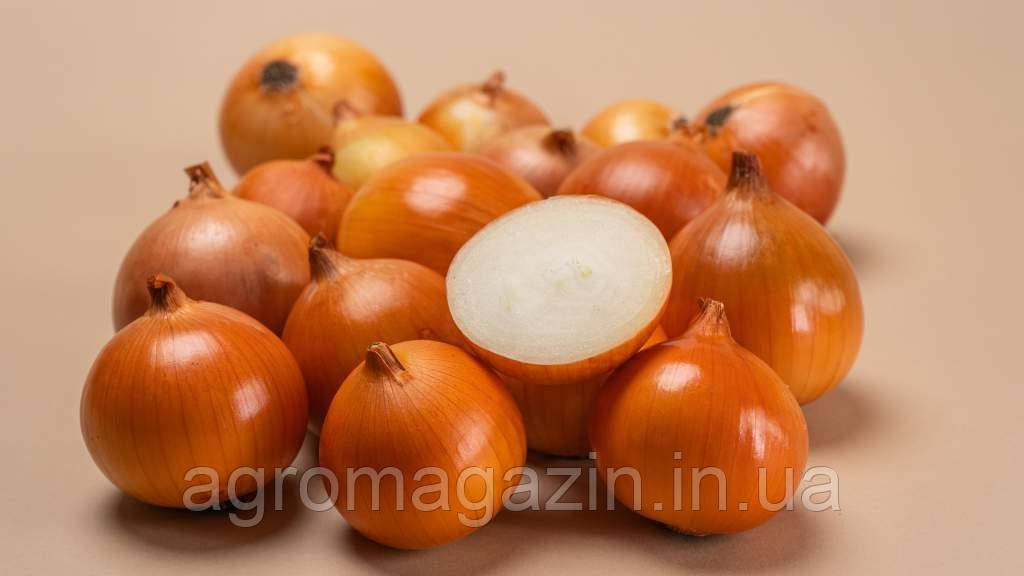 Цибуля Барусо (1кг) Голландія/фракція 8-16мм