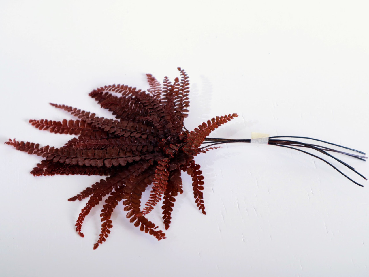 Стабілізована папороть Фельсі червона Moss Nature