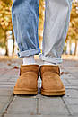 Уггі чоловічі коричневі зимові Ugg Classic Ultra Mini Chestnut (17138), фото 6