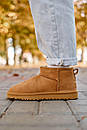 Уггі чоловічі коричневі зимові Ugg Classic Ultra Mini Chestnut (17138), фото 4
