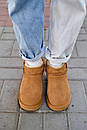 Уггі чоловічі коричневі зимові Ugg Classic Ultra Mini Chestnut (17138), фото 8