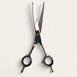 Професійні перукарські ножиці для стрижки волосся  PROLINE  SA-60 6,0", фото 2