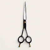 Професійні перукарські ножиці для стрижки волосся  PROLINE  SA-60 6,0", фото 3