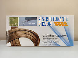 Dikson Ristrutturante Ампули для відновлення волосся, 12*12 мл