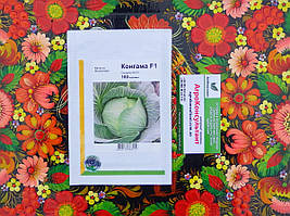 Насіння капусти Конгама F1 (Rijk Zwaan), 100 насінин — середньостигла (95-120 днів), білокачанна