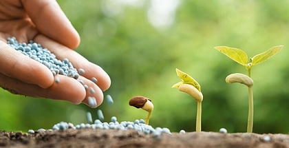 Мінеральні добрива проти органічних: які вибрати для своєї культури?