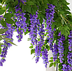 Штучні квіти для декору, штучна ліана гліцинії, фото 3