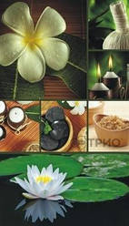 Електрообігрівач настінний плівковий (Лотос)