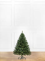 Ялинка лита "Альпійська"